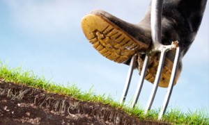 Gardening Maintenance